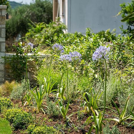 شقة Syvota Gardens المظهر الخارجي الصورة