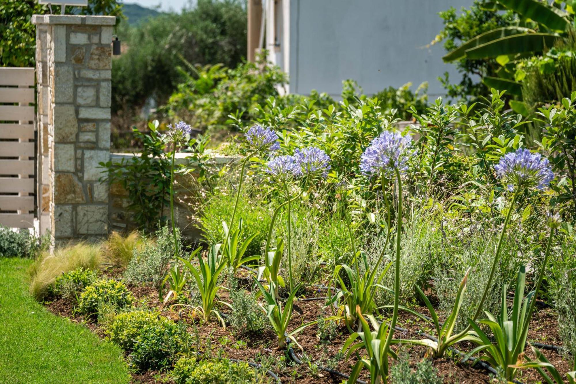 شقة Syvota Gardens المظهر الخارجي الصورة